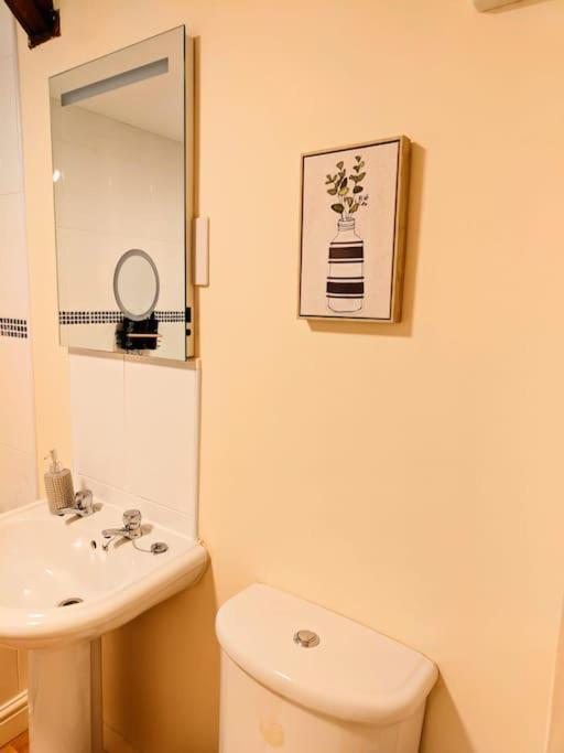 Cosy Central Modern Apartment ナントウィッチ エクステリア 写真